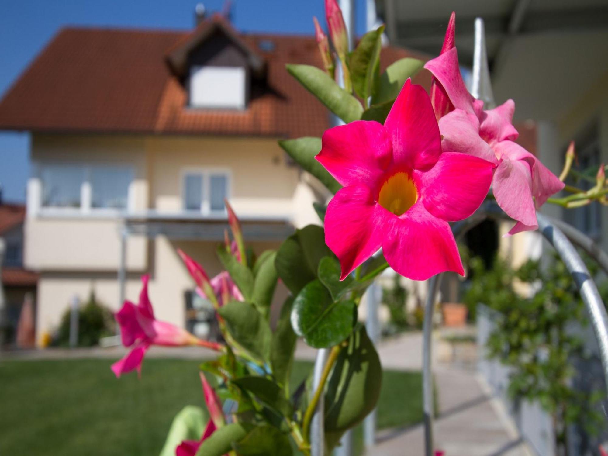 Obst- Und Ferienhof Witzigmann Wasserburg Esterno foto